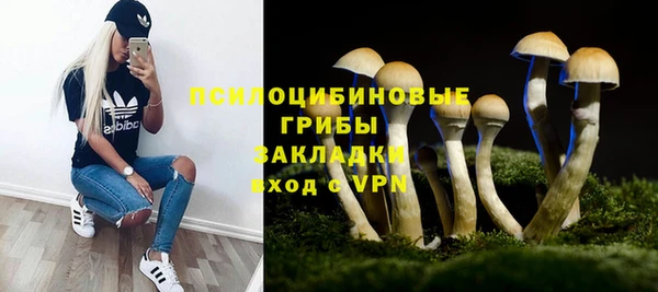 индика Кинешма
