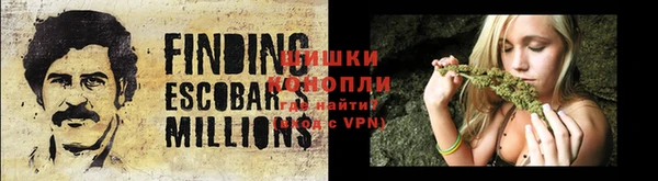 индика Кинешма
