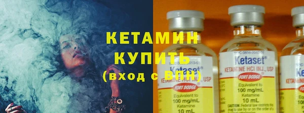 индика Кинешма