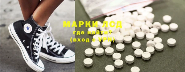 индика Кинешма