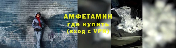 индика Кинешма