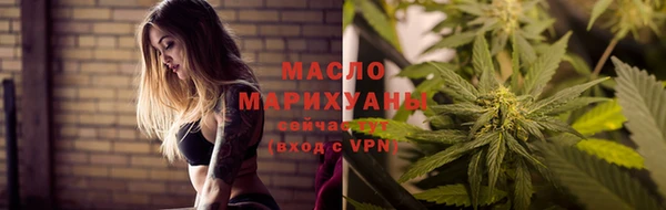 индика Кинешма