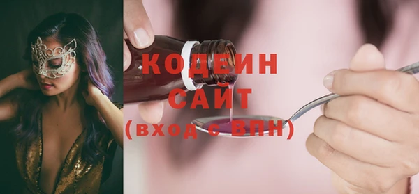 индика Кинешма