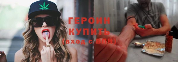 индика Кинешма