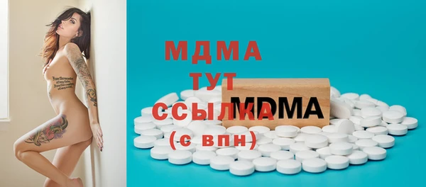 индика Кинешма