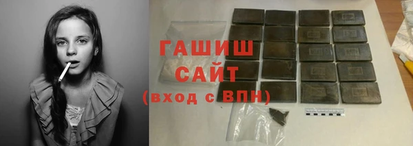 индика Кинешма