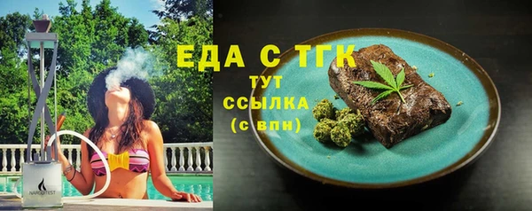 индика Кинешма