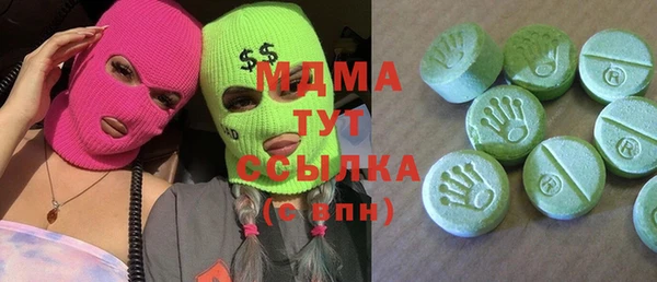индика Кинешма