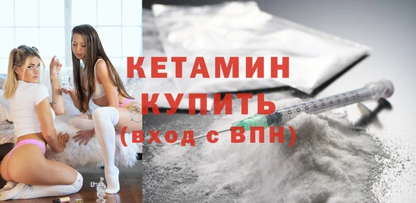 индика Кинешма