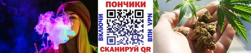 Купить где  Жуковка  Бошки Шишки индика 